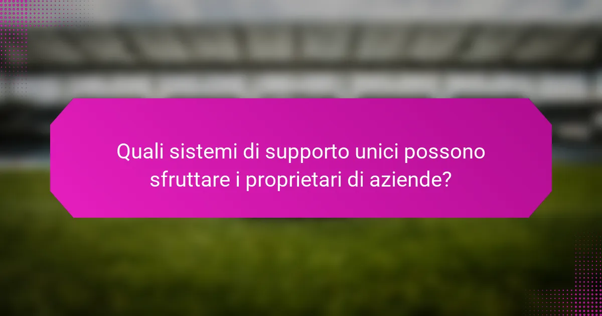 Quali sistemi di supporto unici possono sfruttare i proprietari di aziende?