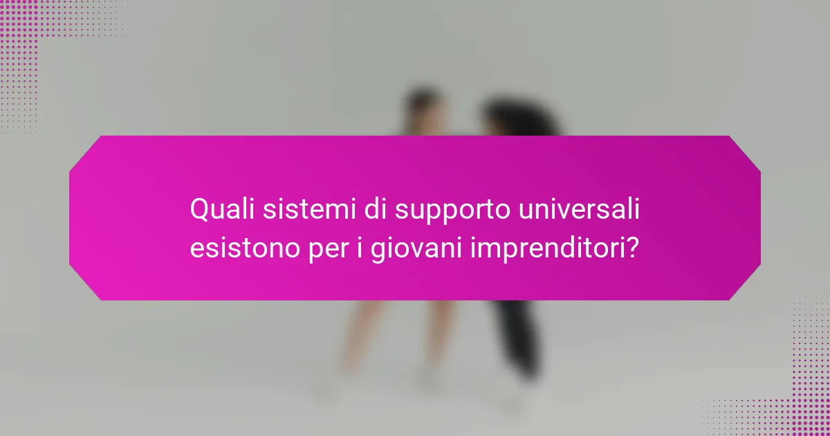 Quali sistemi di supporto universali esistono per i giovani imprenditori?