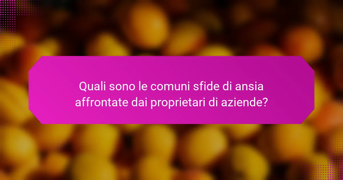 Quali sono le comuni sfide di ansia affrontate dai proprietari di aziende?