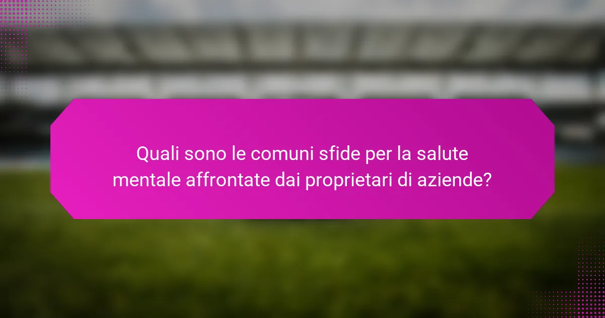 Quali sono le comuni sfide per la salute mentale affrontate dai proprietari di aziende?