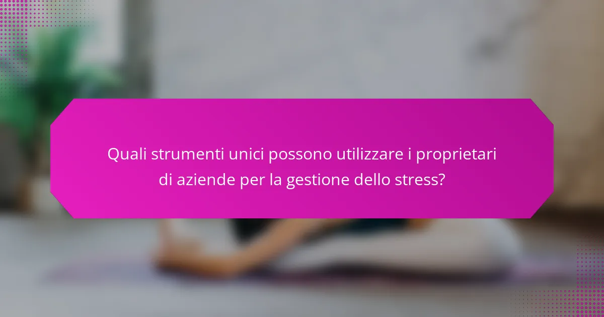 Quali strumenti unici possono utilizzare i proprietari di aziende per la gestione dello stress?